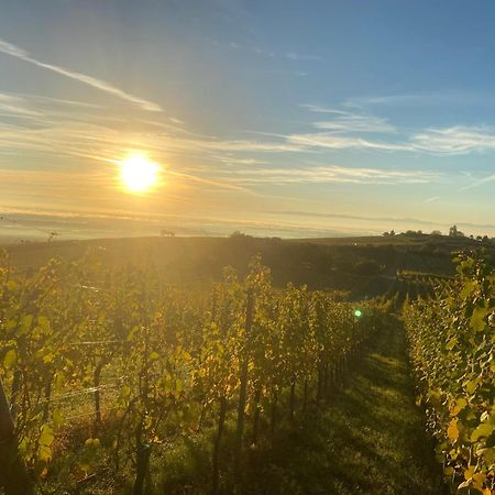 Charmant Et Chaleureux Gite Dans Le Vignoble Sigolsheim Exterior photo