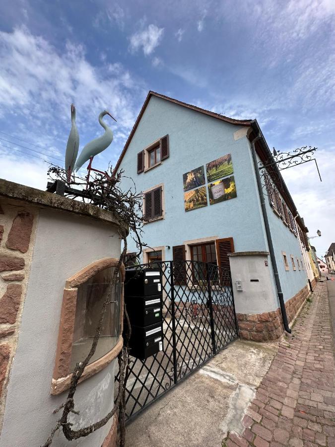 Charmant Et Chaleureux Gite Dans Le Vignoble Sigolsheim Exterior photo