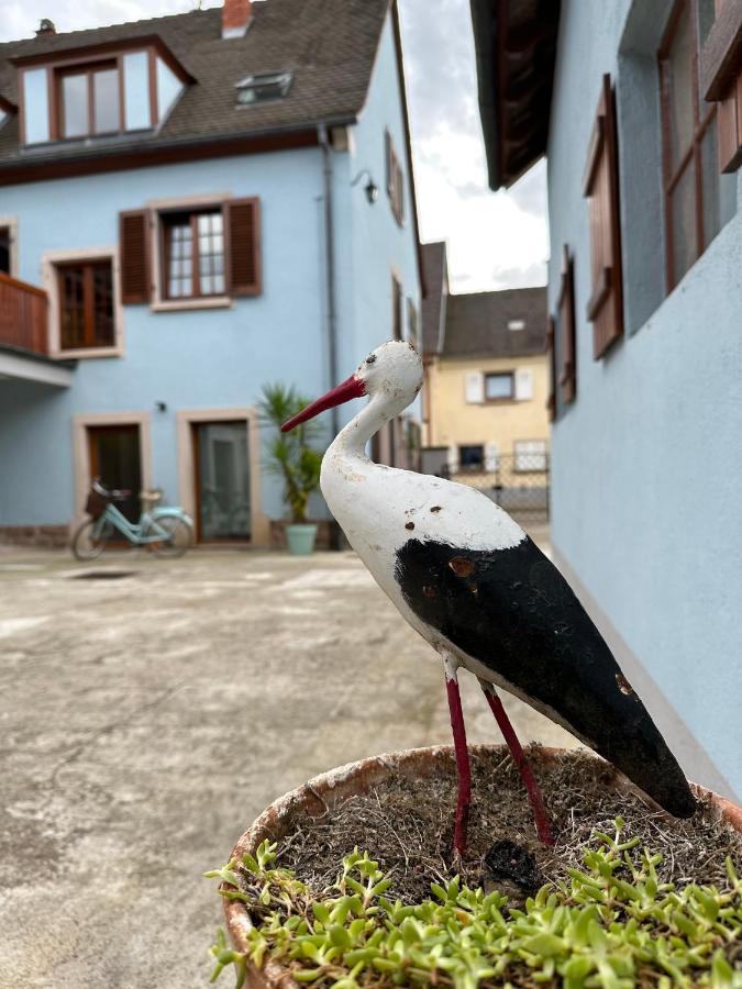 Charmant Et Chaleureux Gite Dans Le Vignoble Sigolsheim Exterior photo